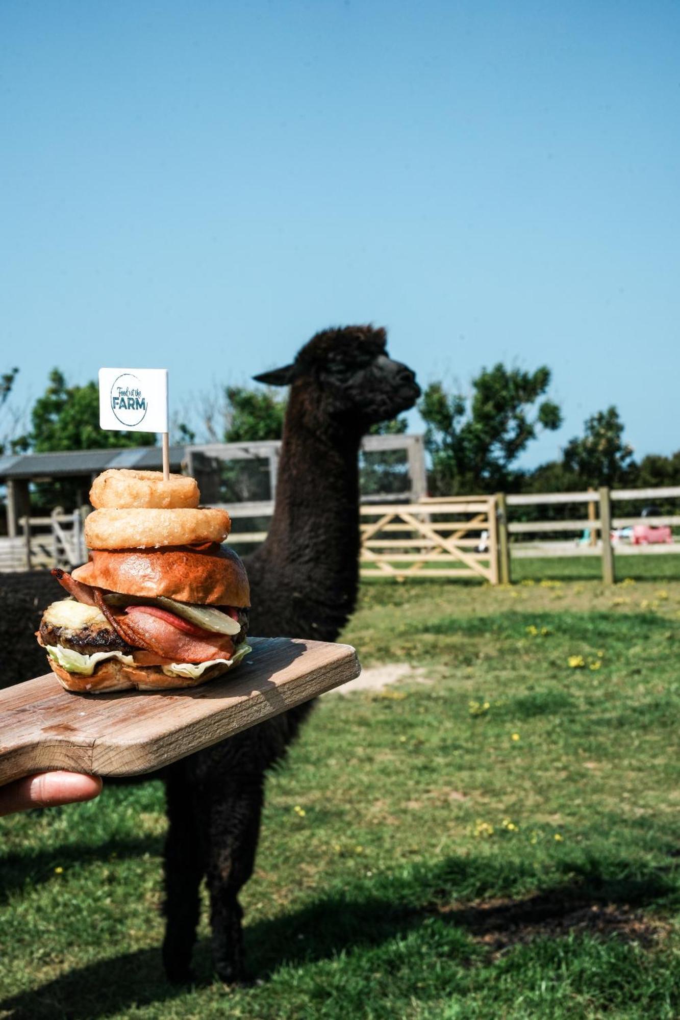 Macdonald'S Farm Panzió Saint Ervan Kültér fotó